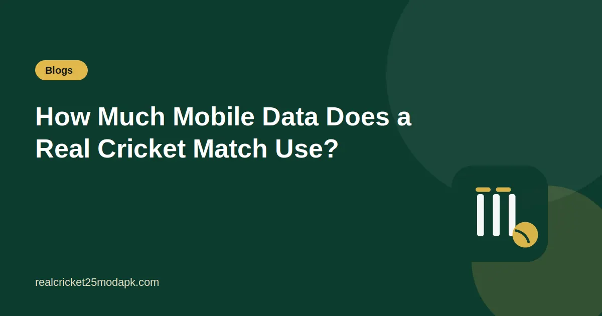 Illustration for the guide: How Much Mobile Data Does a Real Cricket Match Use?